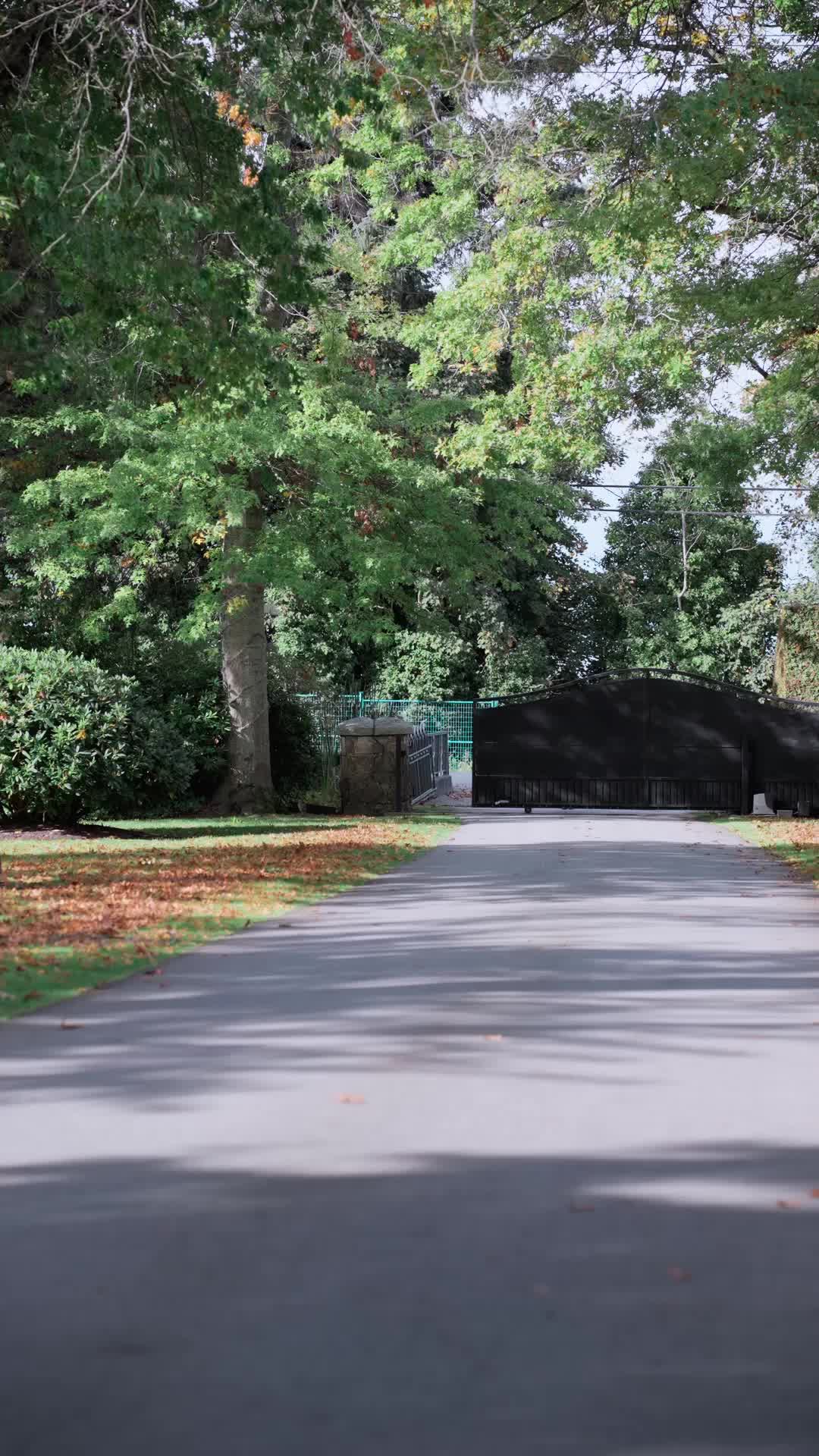 Épisode 1 - Tendre Torture de la Mafia